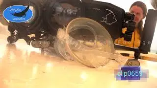 0659_Scuba diver girl vintage mask and video housing. HD Underwater Royalty Free stock Footage.