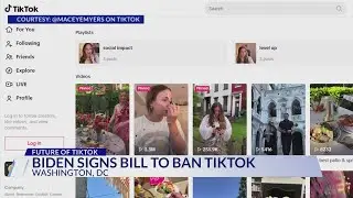 TikTok content creator in DC says ban of app would be 'devastating'
