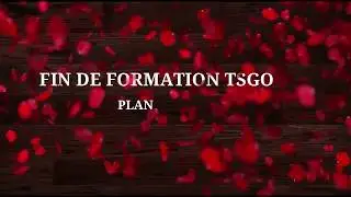 EXAMEN DE FIN DE FORMATION TSGO 2019   