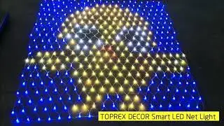 Smart LED Smart Net Light