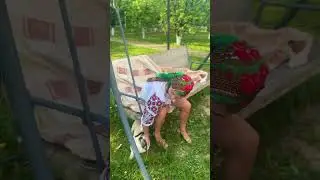 Taie găina aia! #short #shorts  #viral #viralvideo #youtubeshorts #youtubeshort  #funny #comedy