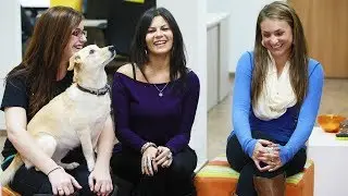 Summer Internships in Tel Aviv with Masa Israel Journey