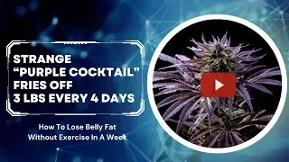 How To Lose Belly Fat Without Exercise | Strange &ldquo;purple cocktail&rdquo; fries off 3 lbs every 4 days
