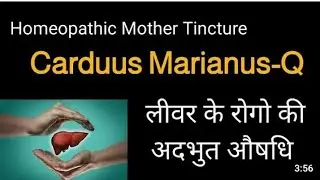Carduus Marianus_Q homeopathic medicine for liver tonic#carduus#liver#fat liver #dr