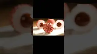 #asmr #ai #asmrsounds #relaxing #satisfying #oddlysatisfying #glassfruitcutting #lychee