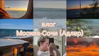 Каникулы 🎄| Москва-Сочи ✈️| Анчоусик🌾