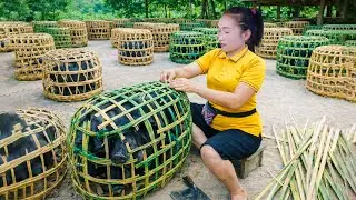 Weaving bamboo baskets to hold pigs for sale at the market, harvesting pumpkins and melons