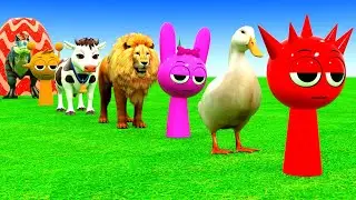 Long Slide Game With Cow Elephant Gorilla Hippopotamus Tiger 3d Animal Game Funny 3d Animals