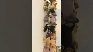 POV: us with short hair cats 🙌😂 #dog #puppy #lps #lpscollection #shorthair