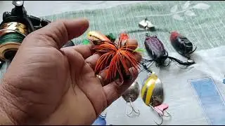 2024 का  बेस्ट फिशिंग फ्रॉग || how to select best fishing frog for snakhead fishing