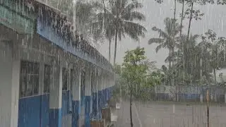 Heavy Rain and strong wind Pouring Over a Quiet Village &ndash; Real Rain Sounds ASMR for Deep Sleep