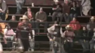 Bull Blast 09