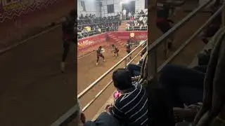 Kalaripayattu | martial art | Kerala