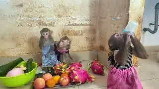 Give 7 fruits to family bosufi