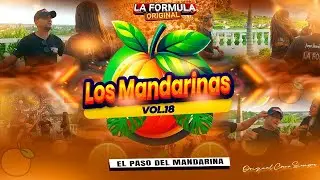 Los Mandarinas - La Formula Original / Volumen 18📀(Video Oficial🎥)