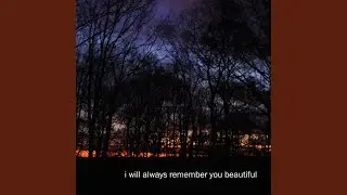 fly high, butterfly