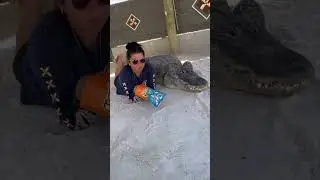 Только во Флориде сборник с Omgitswicks