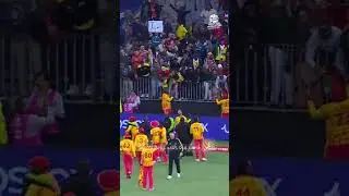 Pak vs Zim Match || Celebrating With the Fans || Zimbabwe Win #zimbabwe #zimbabwelatestnews
