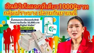 เงินดิจิทัล จ่าย10000บาท ทีเดียวกลุ่มเปราะบาง