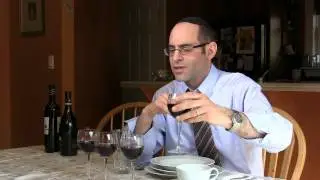 Mitzvah Tube - Raiders of the Lost Afikomen - Pesach 5774