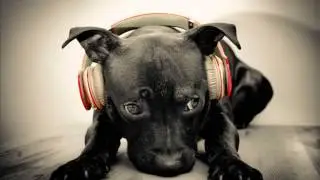 Techno Minimal 2014