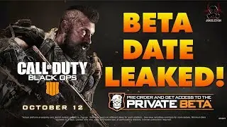 Black Ops 4 BETA DATE LEAKED & Open Beta for PC!