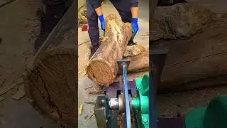 Firewood processing artifact machine #woodchopping #shorts #skills