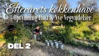 Efter&aring;rets k&oslash;kkenhave | del 2: H&oslash;st, Oprydning & Nye Begyndelser
