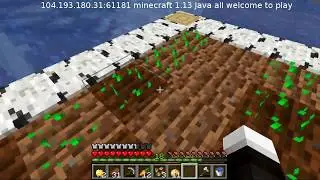 Public Stream SMP: Starting Work on the Homestead