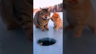 mart Cats Ice Fishing Together! 🐱❄️#CatFishing #SmartCats #CatsOfYouTube #IceFishing #clevercats