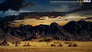 Nat Geo Wild   Nature Documentary   Wildlife Animal   Discovery Channel Animals # 2016 HD 2