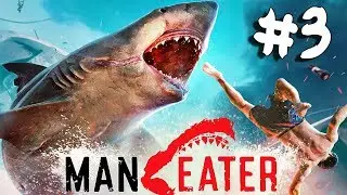 Maneater - Walkthrough - Part 3 - Making a Splash (PC HD) [1080p60FPS]