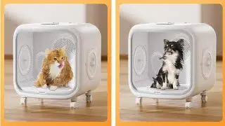 Top 5 Pet Dryer Boxes for 2025 &ndash; The Ultimate Guide!