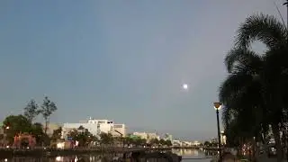 #14 the moon - Damon Greene