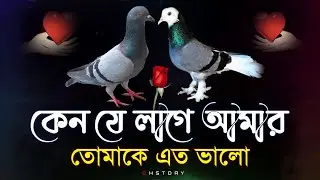 Natun premer shayari | sad love story bangla | shayari bangla | koster sondo
