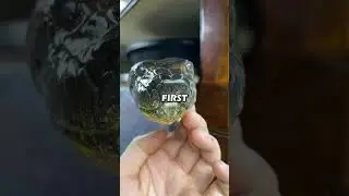 This Family Adopted a Python, and It Didn&rsquo;t End Well...