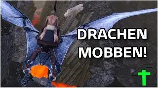 Die Drachen Mobben! | ARK | #162 | Items4Sacred mit Balui und Miri [GER]