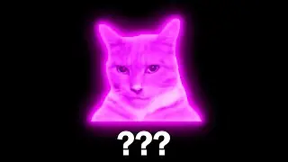 10 Cat 