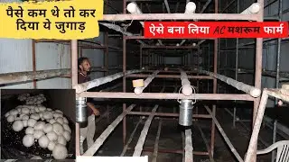 पैसे कम थे तो कर दिया ये जुगाड़ | JUGAAD Hi-tech AC Mushroom farm |
