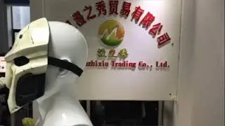 Overwatch reaper mask