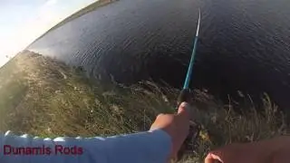 Snakehead Action South Florida