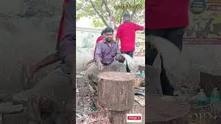 kasimedu fish cutting #kasimeduselvam #kasimeduspeedselvam #bigfishcutting #selvamfastfishcutting