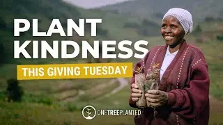 Plant Kindness This Giving Tuesday | One Tree Planted
