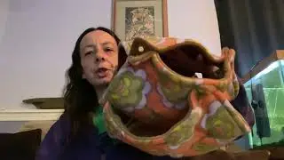 Review for Dexter Creature Comforts rat hammock lot