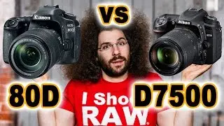 CANON 80D против Nikon D7500: что купить