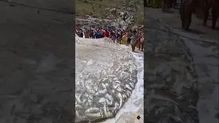🚨 Fartura &Eacute;PICA de Xerelete Hoje 09/01/2026 na Praia Grande em Arraial do Cabo RJ Brasil. 🇧🇷 #shorts