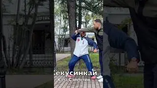 Кёкусинкай #845 Каратэ Мурманск / Поларбудо / Бункай ката Сэйентин на 2-й дан #17 (19.09.25)