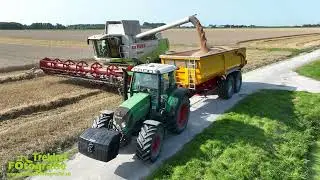 De Graaf | Wintertarwe dorsen 2025 | Threshing Wheat | Dreschen Winterweizen