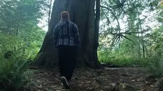 Giant Cedar Trail