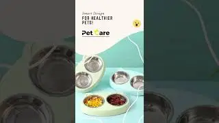 Upgrade Mealtime for Your Pet Today! 🐾💡